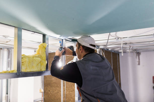 Best Insulation Removal Services  in Brandon, FL
